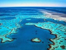 Coral Sea Ribbon Reefs